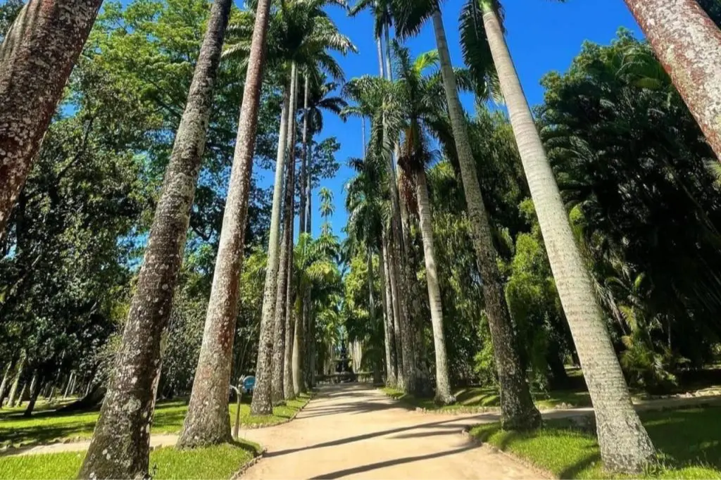 Jardin Botánico
