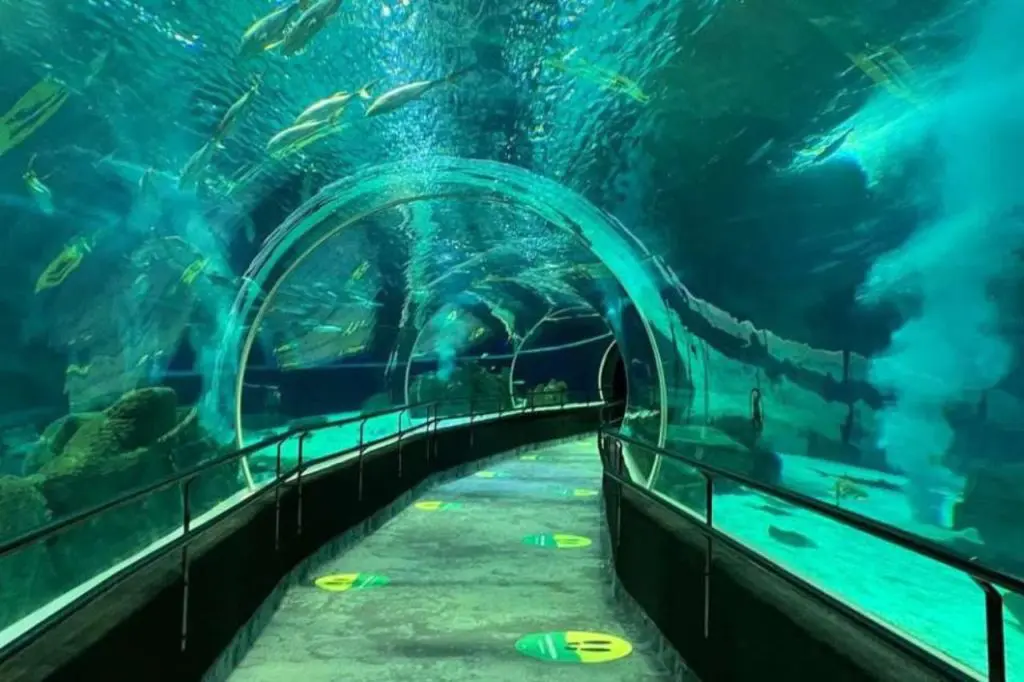 AquaRio - Aquário Marinho do Rio