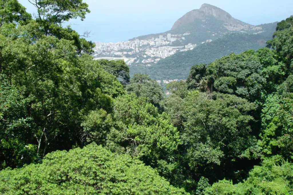 Parque Nacional da Tijuca